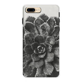 Pyramidal Saxifrage (saxifraga Aizoon) - Karl Blossfeldt Phone Case Iphone 8 Plus / Matte Succulent Plant Rosette-shaped Leaves Black White