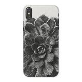 Pyramidal Saxifrage (saxifraga Aizoon) - Karl Blossfeldt Phone Case Iphone x / Matte Succulent Plant Rosette-shaped Leaves Black White Karl