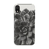 Pyramidal Saxifrage (saxifraga Aizoon) - Karl Blossfeldt Phone Case Iphone Xr / Matte Phone Case Black White Close-up Photograph Succulent