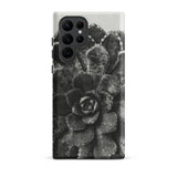Pyramidal Saxifrage (saxifraga Aizoon) - Karl Blossfeldt Phone Case Samsung Galaxy S22 Ultra / Matte Black White Photographic Phone Case