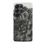Pyramidal Saxifrage (saxifraga Aizoon) - Karl Blossfeldt Phone Case Samsung Galaxy S25 Ultra / Matte Black White Printed Phone Case
