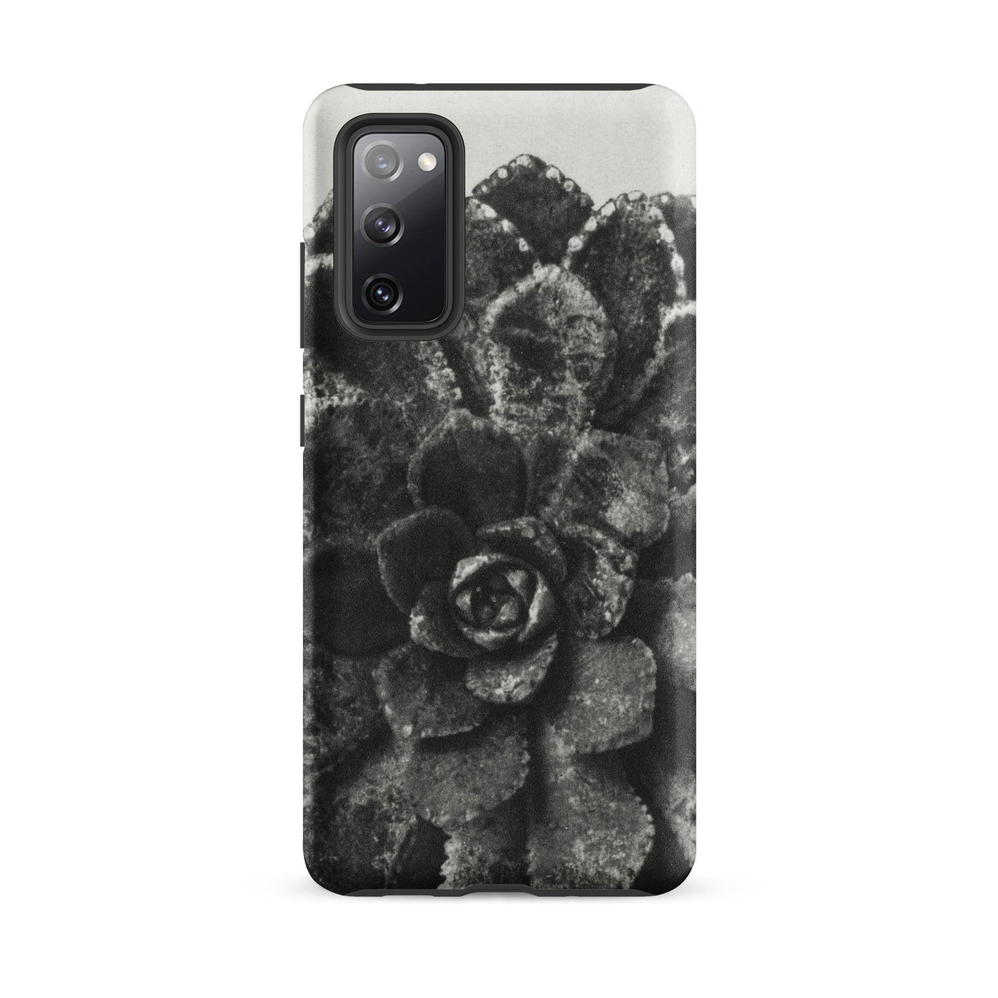 Pyramidal Saxifrage (saxifraga Aizoon) Karl Blossfeldt Samsung Case, Galaxy S20 Fe / Matte, Black White Succulent Plant Phone Case
