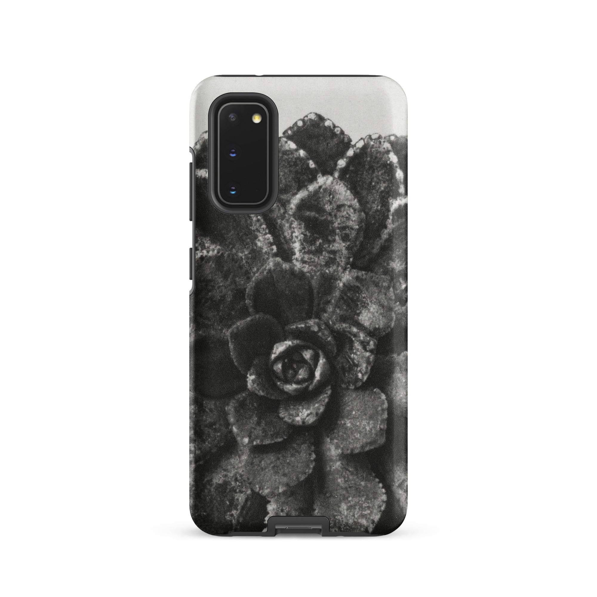 Pyramidal Saxifrage (saxifraga Aizoon) Karl Blossfeldt Samsung Case, Galaxy S20 / Matte, Black White Succulent Pattern Phone Case