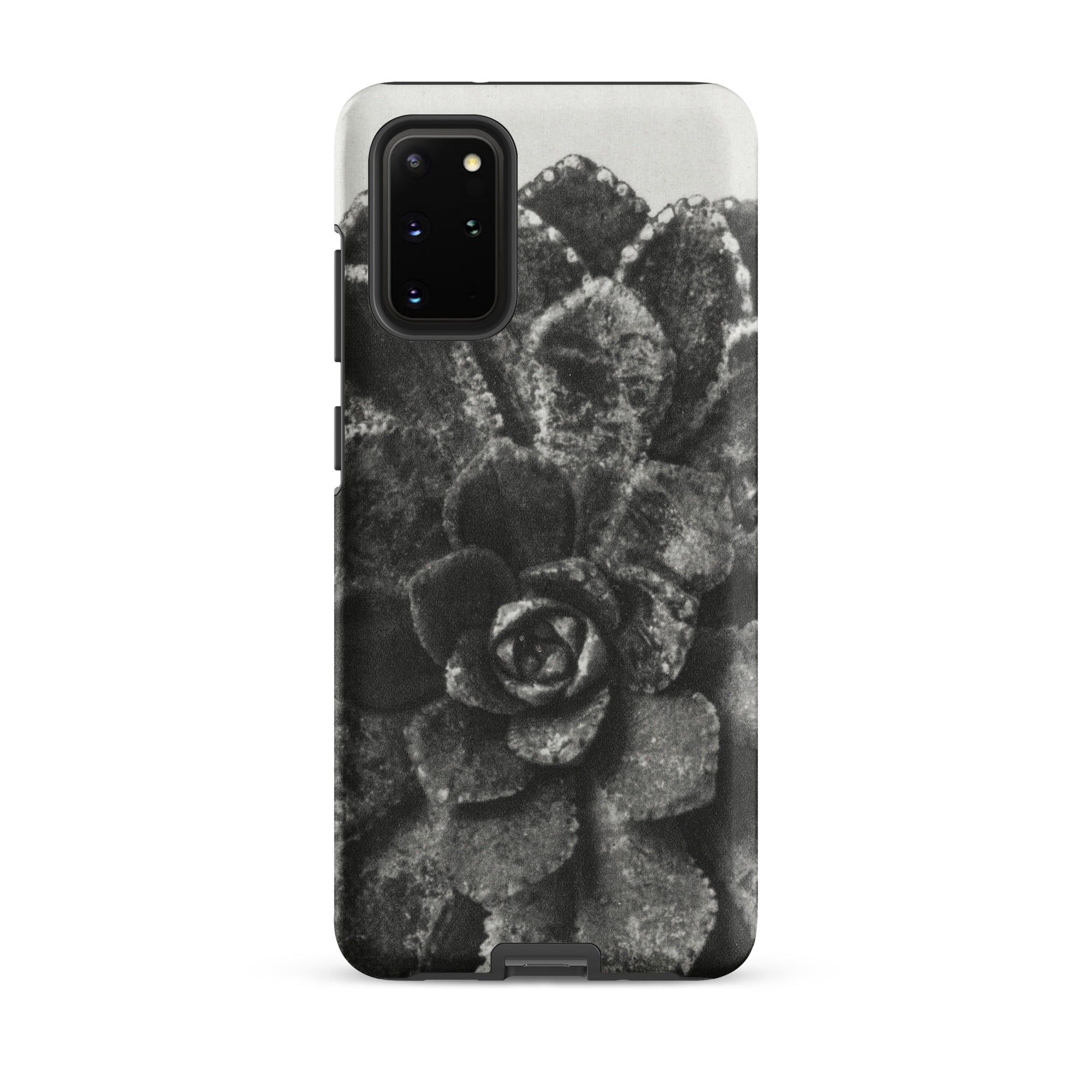Pyramidal Saxifrage (saxifraga Aizoon) Karl Blossfeldt Samsung Case, Galaxy S20 Plus / Matte, Grey Black Phone Case Textured Succulent