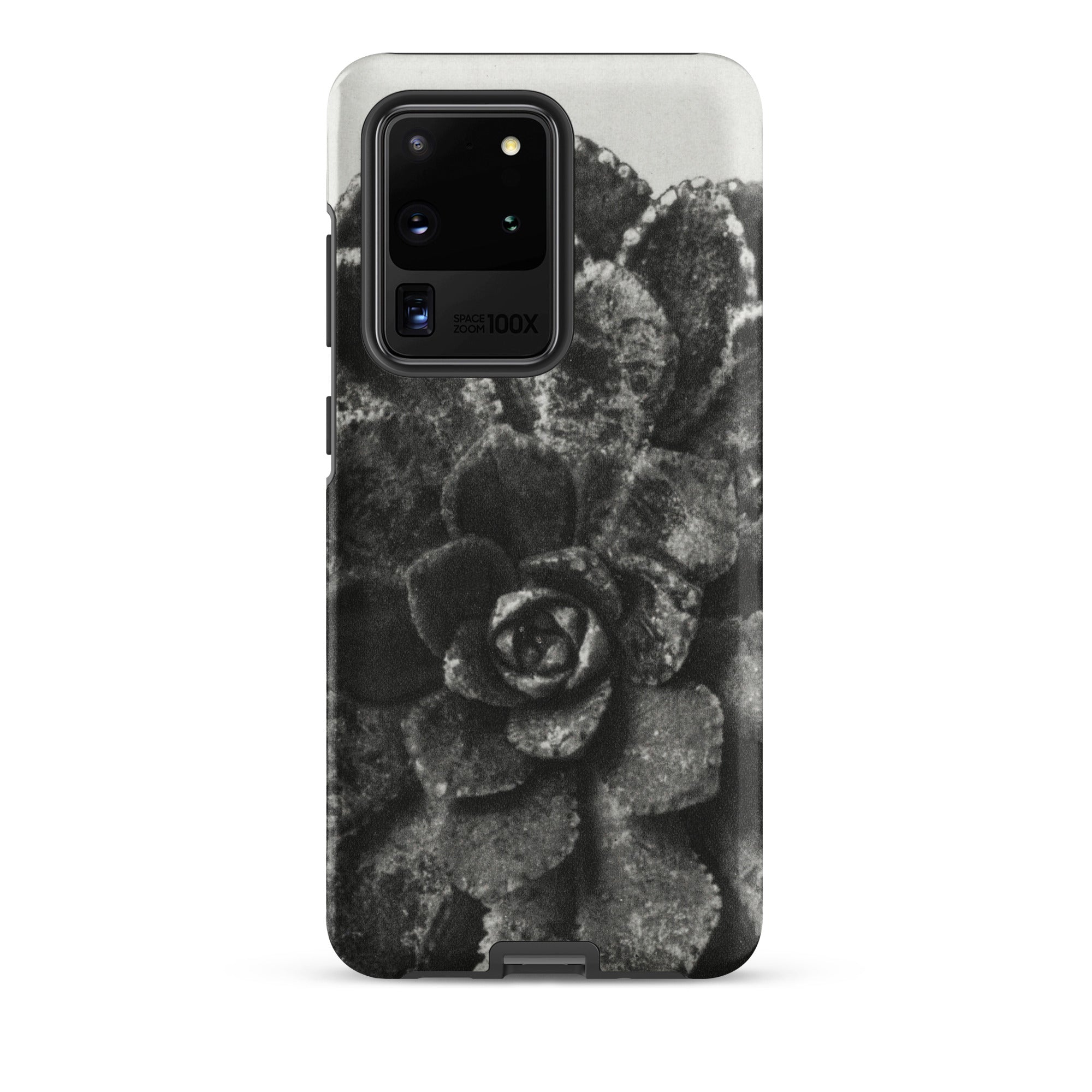 Pyramidal Saxifrage (saxifraga Aizoon) Karl Blossfeldt Samsung Case, Galaxy S20 Ultra / Matte, Black White Succulent Plant Design Phone Case