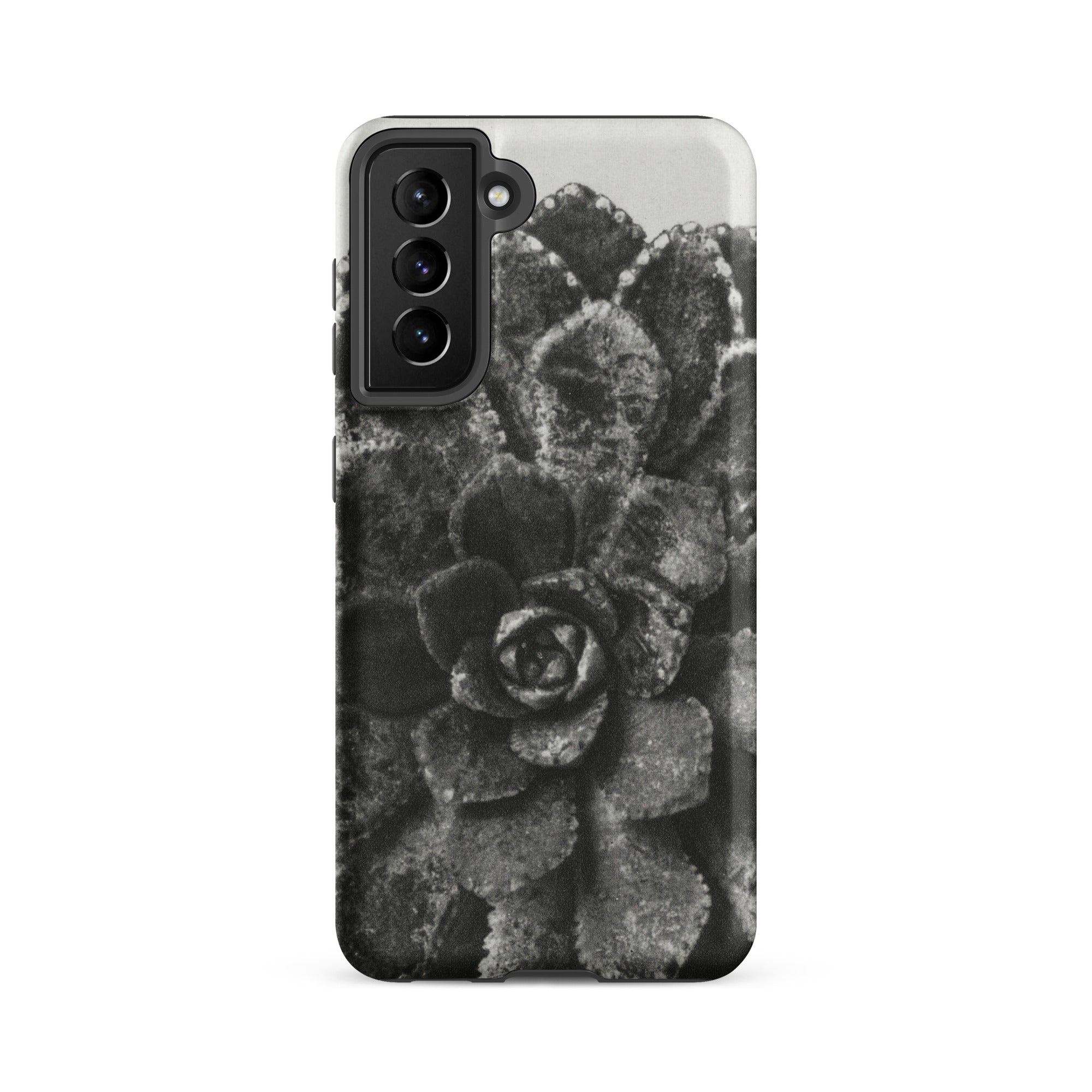 Pyramidal Saxifrage (saxifraga Aizoon) Karl Blossfeldt Samsung Case, Galaxy S21 Fe / Matte, Black White Succulent Pattern Phone Case