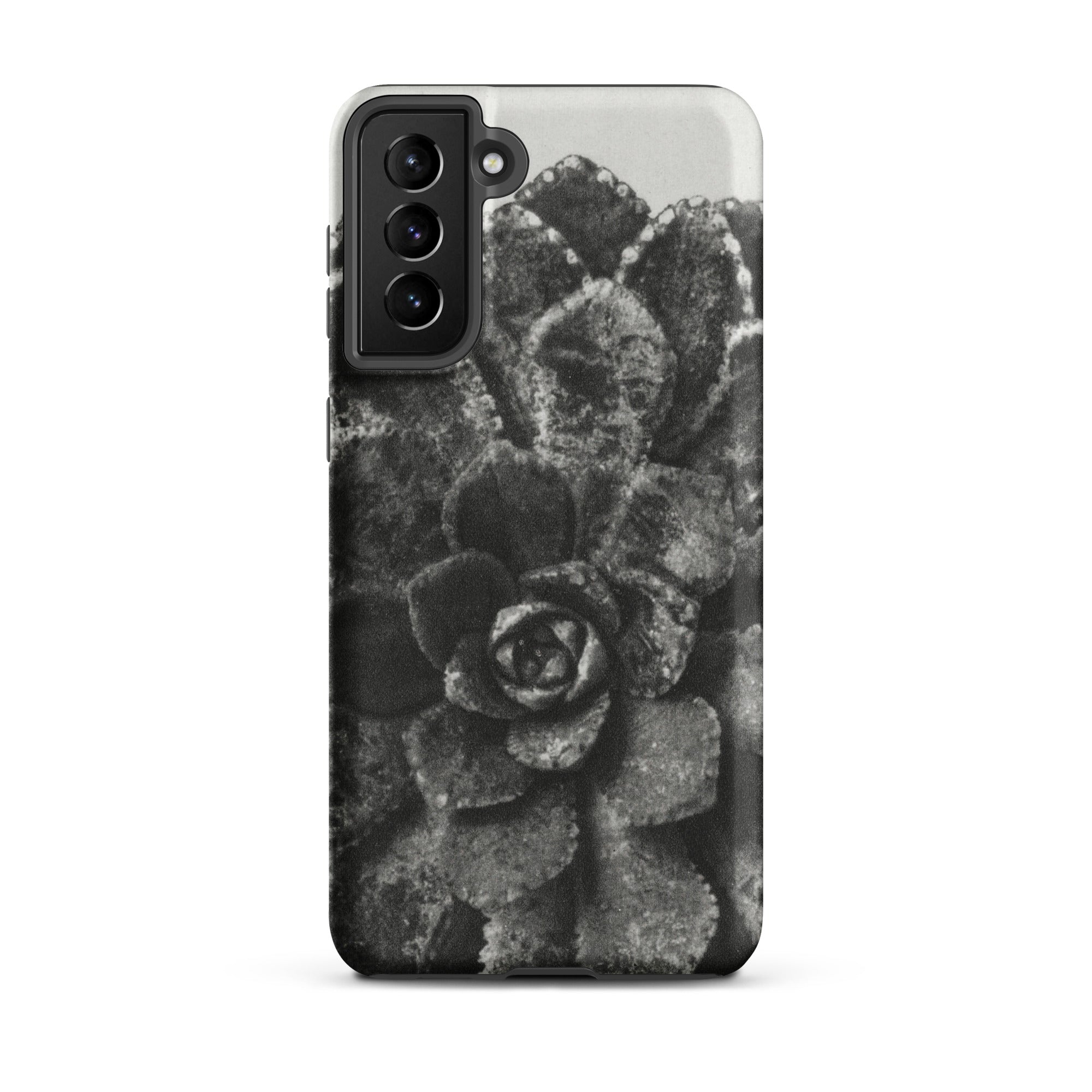 Pyramidal Saxifrage (saxifraga Aizoon) Karl Blossfeldt Samsung Case, Galaxy S21 Plus / Matte, Samsung Galaxy S21 Phone Case Black White