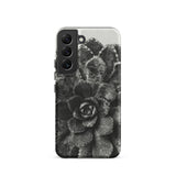 Pyramidal Saxifrage (saxifraga Aizoon) - Karl Blossfeldt Samsung Case, Galaxy S22 / Matte, Monochromatic Succulent Plant Phone Case