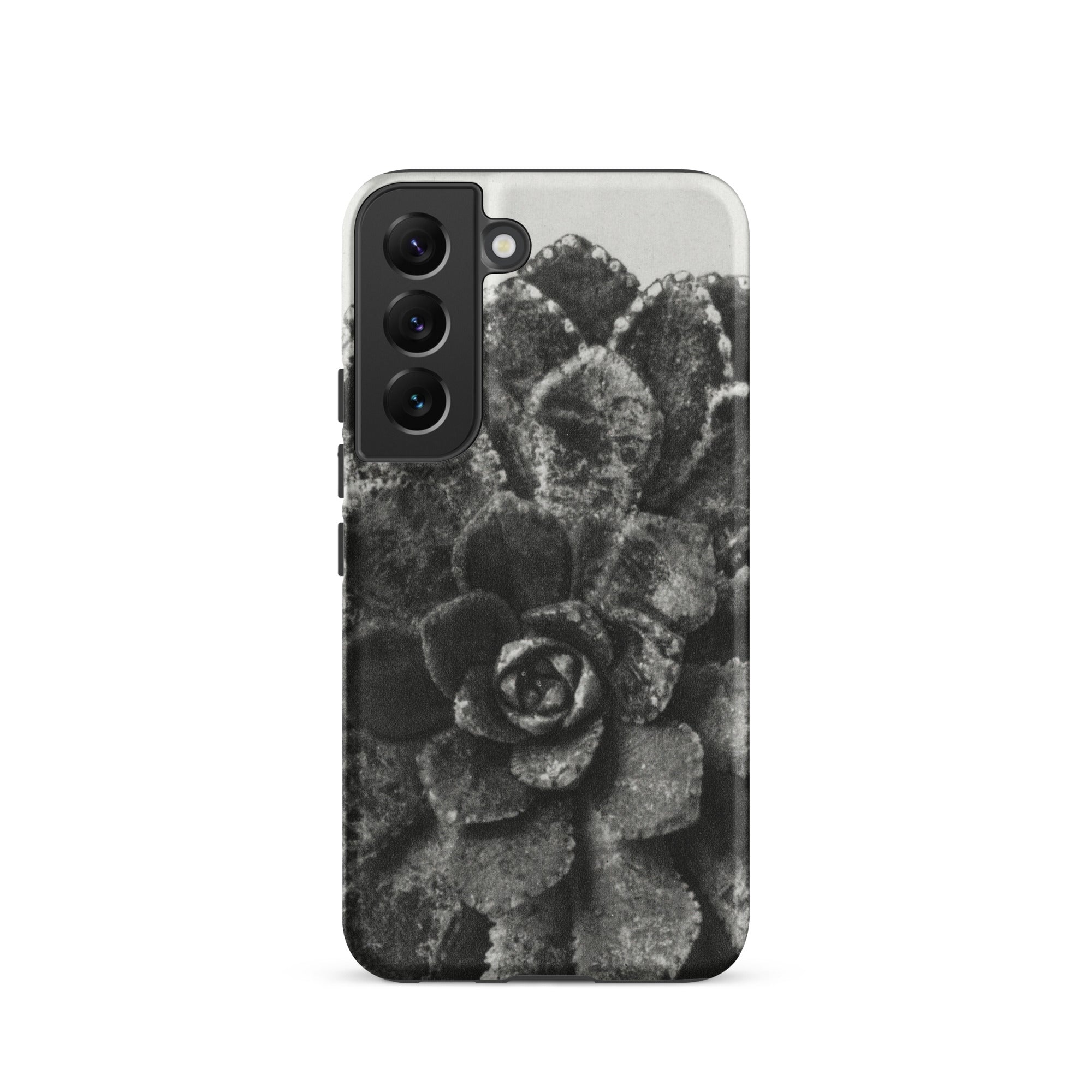 Pyramidal Saxifrage (saxifraga Aizoon) Karl Blossfeldt Samsung Case, Galaxy S22 / Matte, Monochromatic Succulent Plant Phone Case