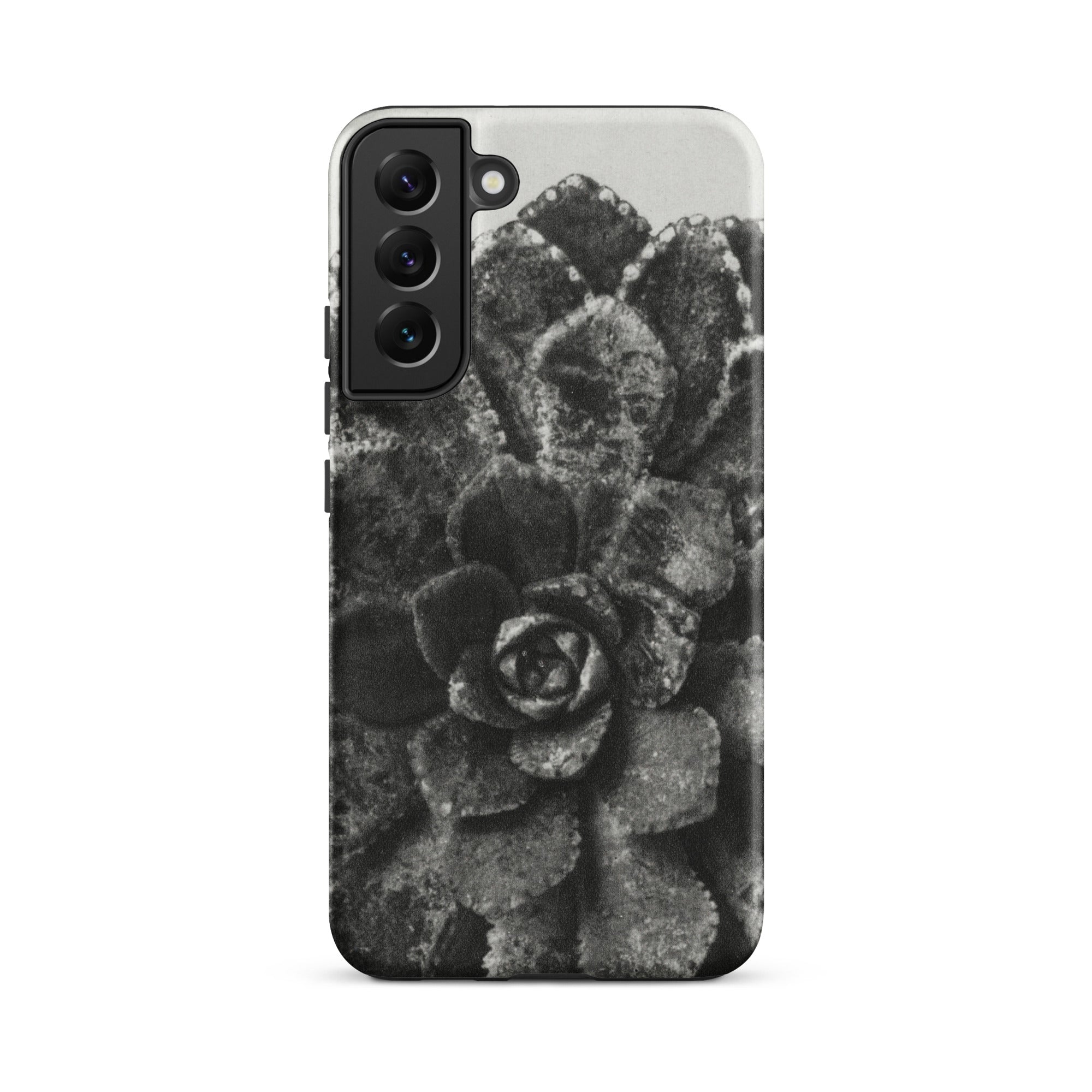 Pyramidal Saxifrage (saxifraga Aizoon) Karl Blossfeldt Samsung Case, Galaxy S22 Plus / Matte, Black White Succulent Plant Design Phone Case