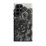 Pyramidal Saxifrage (saxifraga Aizoon) - Karl Blossfeldt Samsung Case, Galaxy S22 Ultra / Matte, Black White Succulent Plant Printed