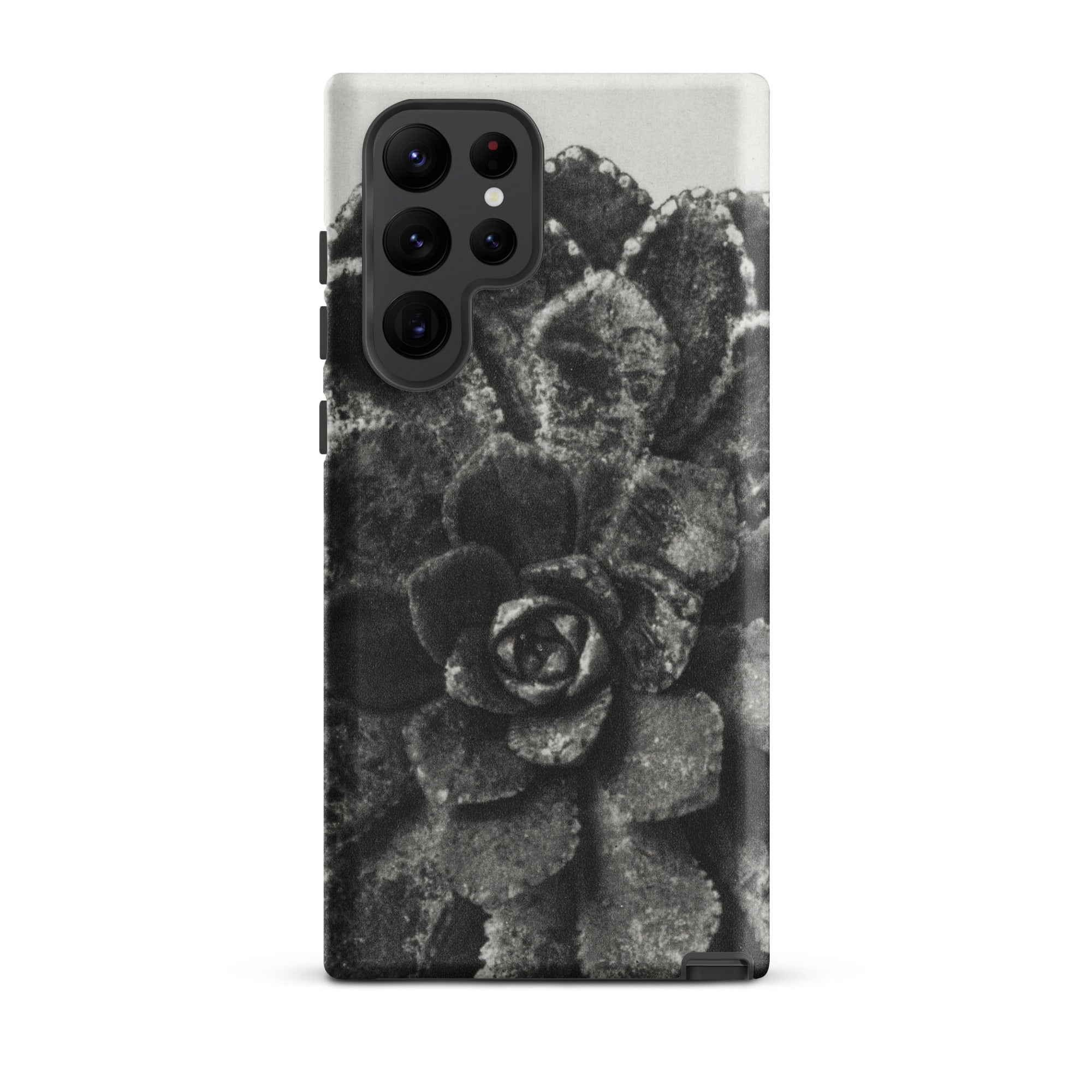 Pyramidal Saxifrage (saxifraga Aizoon) Karl Blossfeldt Samsung Case, Galaxy S22 Ultra / Matte, Black White Succulent Plant Printed