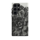 Pyramidal Saxifrage (saxifraga Aizoon) Karl Blossfeldt Samsung Case, Galaxy S23 Ultra / Matte, Black White Succulent Phone Case