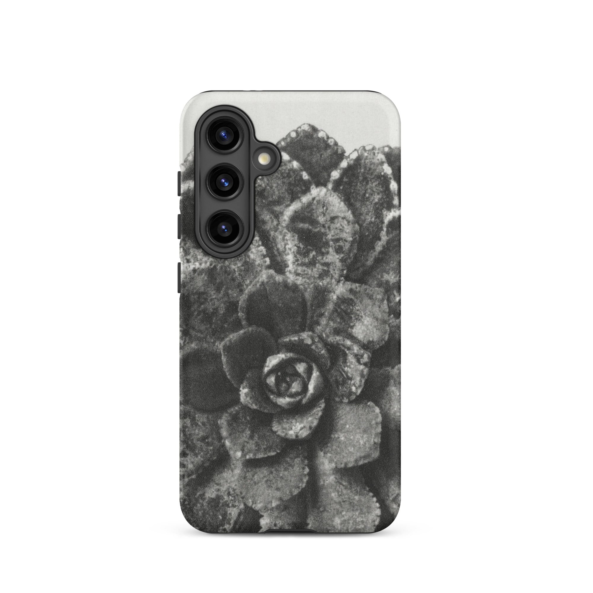 Pyramidal Saxifrage (saxifraga Aizoon) Karl Blossfeldt Samsung Case, Galaxy S24 / Matte, Monochrome Phone Case Succulent Plant Design