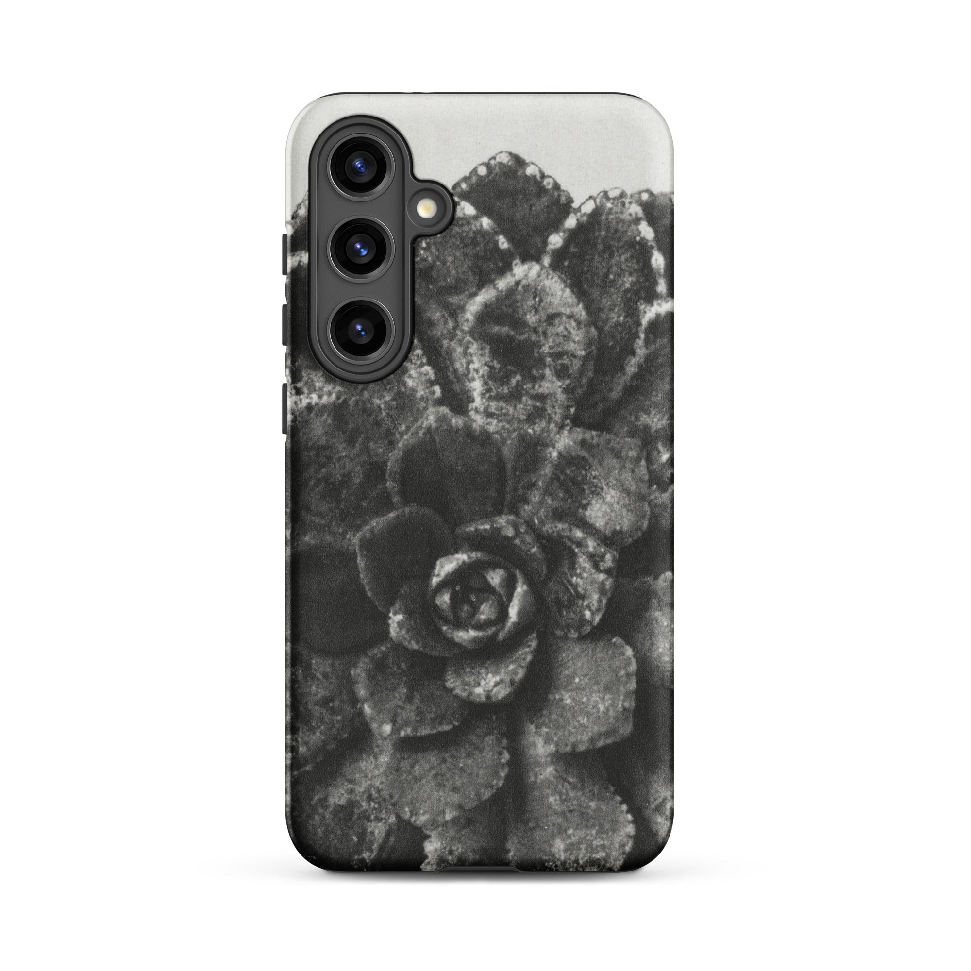 Pyramidal Saxifrage (saxifraga Aizoon) Karl Blossfeldt Samsung Case, Galaxy S24 Plus / Matte, Smartphone Case Black White Succulent Plant