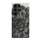 Pyramidal Saxifrage (saxifraga Aizoon) Karl Blossfeldt Samsung Case, Galaxy S24 Ultra / Matte, Smartphone Black White Succulent Pattern Case
