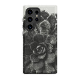 Pyramidal Saxifrage (saxifraga Aizoon) - Karl Blossfeldt Samsung Case, Galaxy S24 Ultra / Matte, Smartphone Black White Succulent Pattern