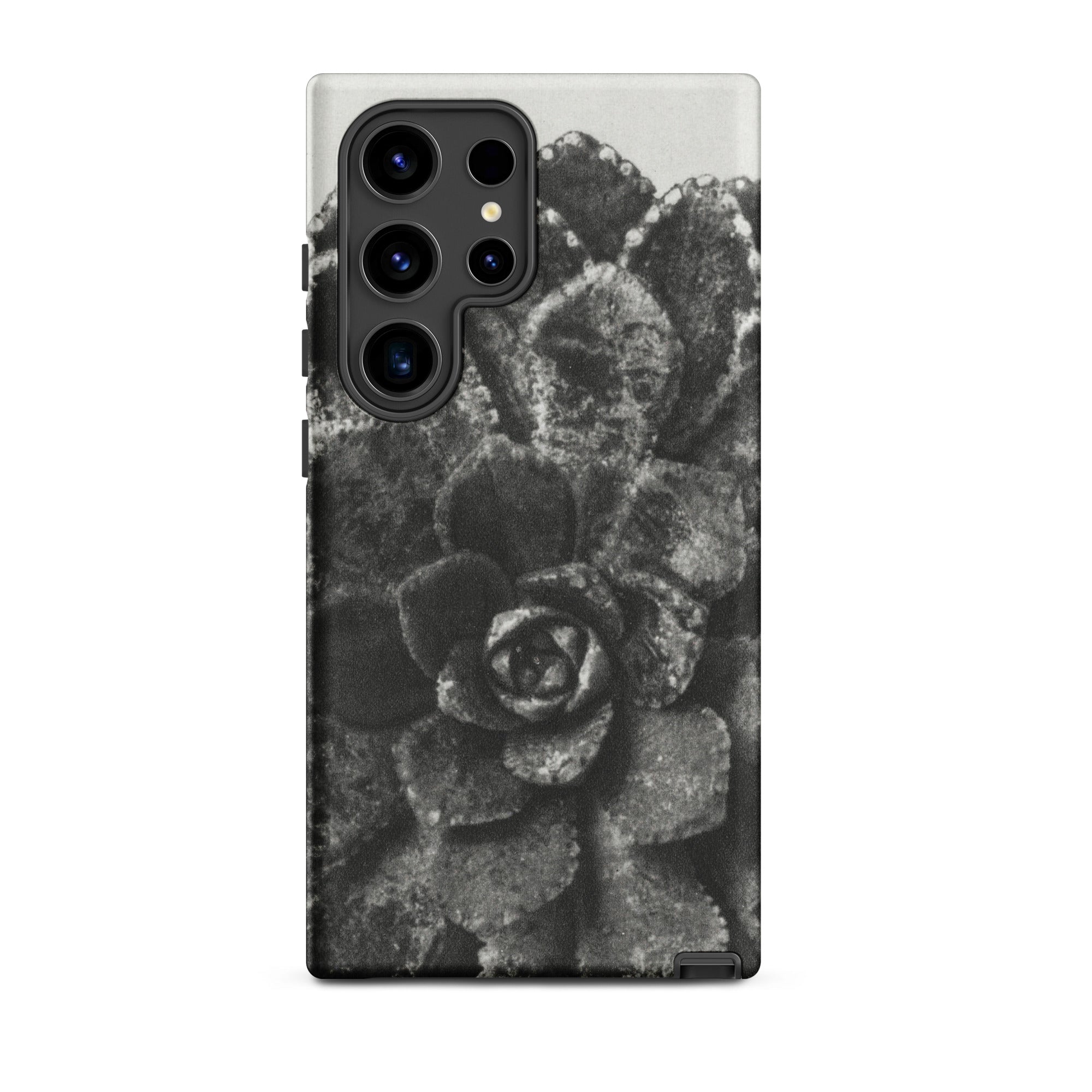Pyramidal Saxifrage (saxifraga Aizoon) Karl Blossfeldt Samsung Case, Galaxy S24 Ultra / Matte, Smartphone Black White Succulent Pattern Case