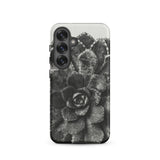 Pyramidal Saxifrage (saxifraga Aizoon) - Karl Blossfeldt Samsung Case, Galaxy S25 / Matte, Monochrome Phone Case Succulent Plant Design