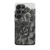 Pyramidal Saxifrage (saxifraga Aizoon) - Karl Blossfeldt Samsung Case, Galaxy S25 Ultra / Matte, Black White Succulent Plant Design