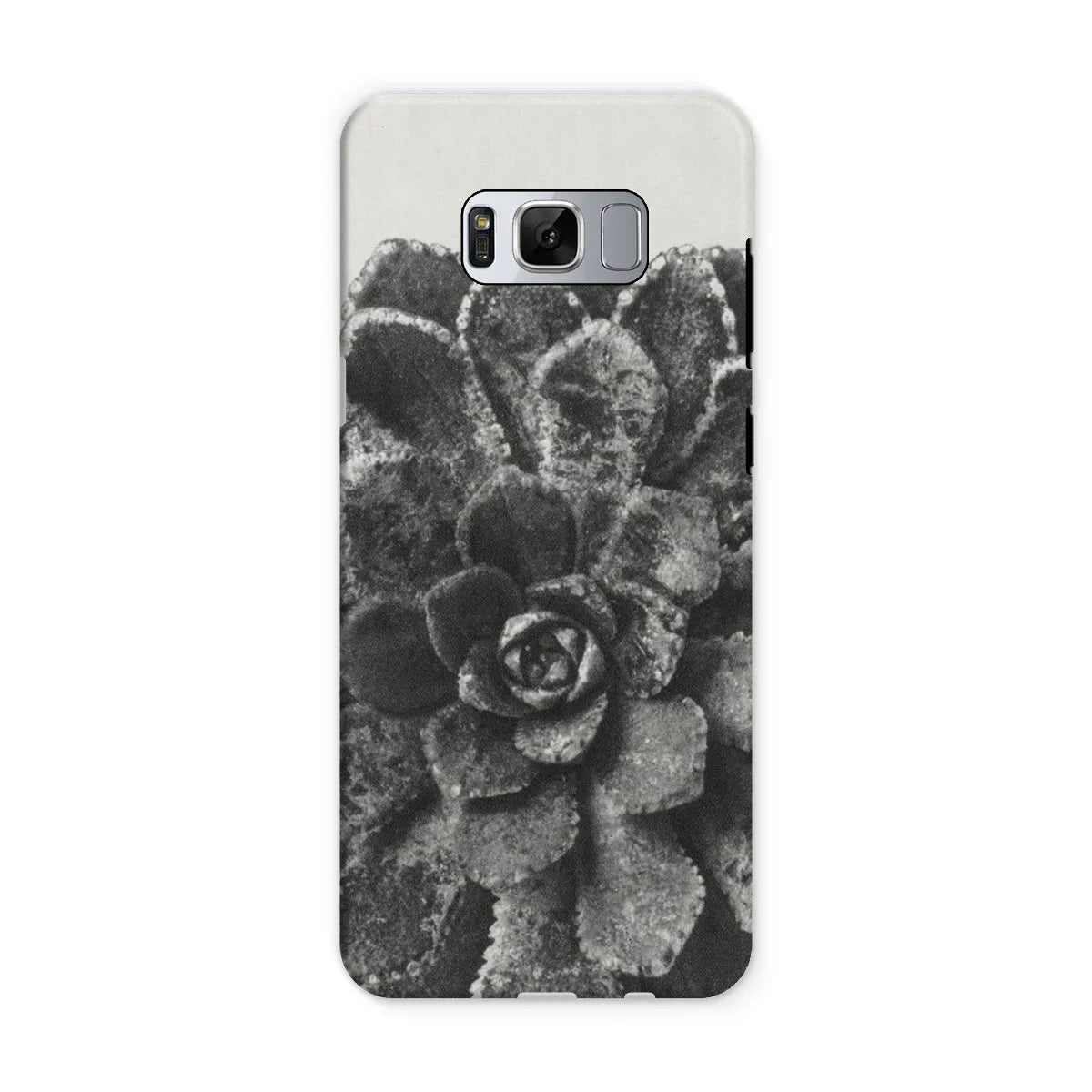 Pyramidal Saxifrage (saxifraga Aizoon) By Karl Blossfeldt Tough Phone Case - Samsung Galaxy S8 / Matte - Mobile Phone