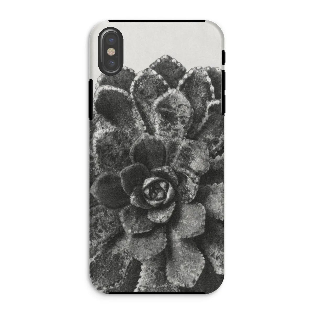 Pyramidal Saxifrage (saxifraga Aizoon) By Karl Blossfeldt Tough Phone Case - Iphone Xs / Matte - Mobile Phone Cases