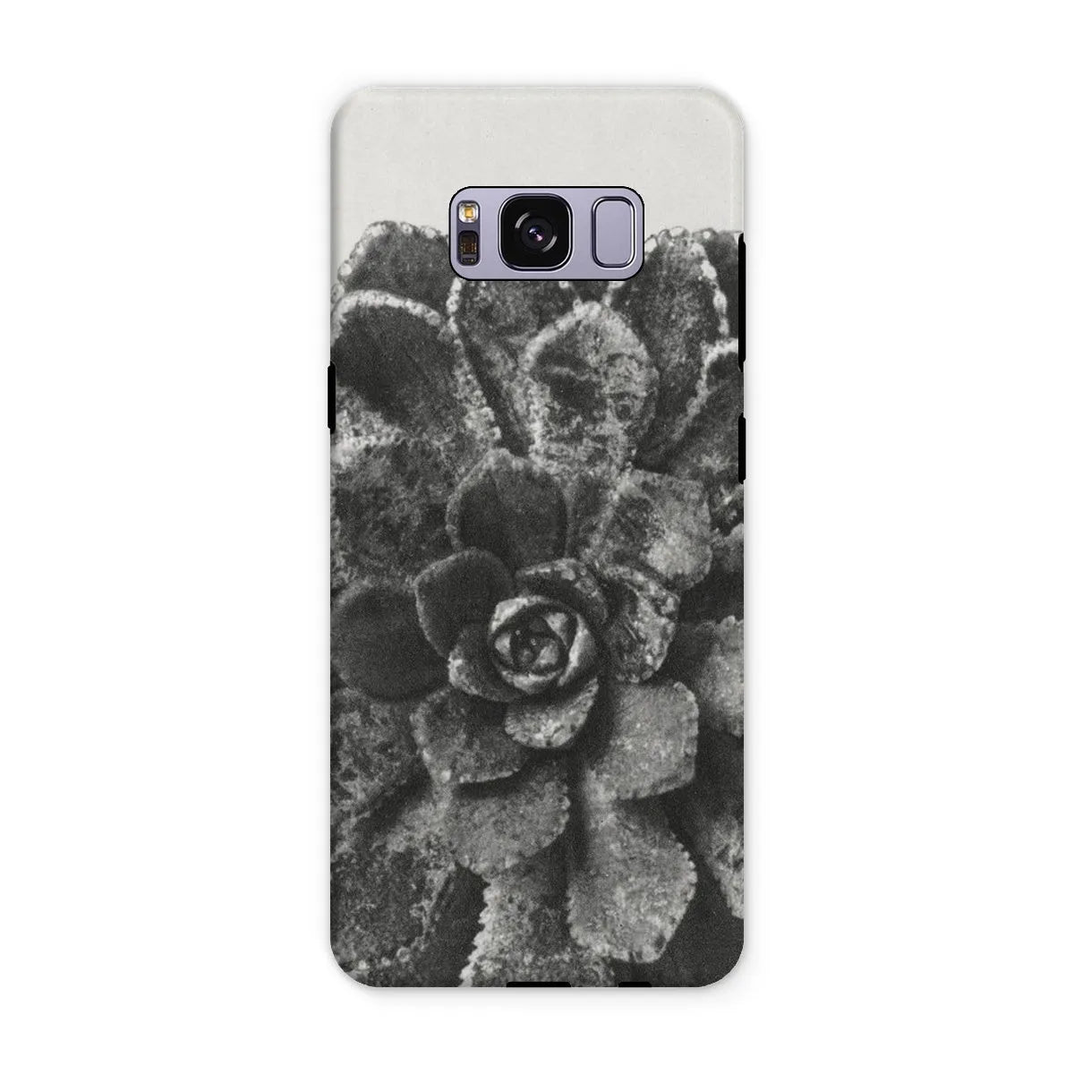 Pyramidal Saxifrage (saxifraga Aizoon) By Karl Blossfeldt Tough Phone Case - Samsung Galaxy S8 Plus / Matte - Mobile