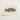 Beautifully Illustrated Parrotfish Print Vibrant Pink Green Blue Luigi Balugani, Kaleidoscopic Queen, Balugani’s 18th-century Brush