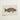 Beautifully Illustrated Parrotfish Print Cream-colored Cardstock Vibrant Shades Luigi Balugani, Kaleidoscopic Queen, Balugani’s