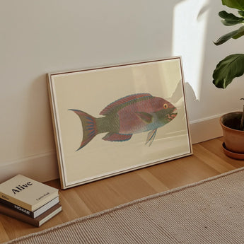 Queen Parrotfish - Luigi Balugani Sea Life Art Print / Canvas, Luigi Balugani, Kaleidoscopic Queen Parrotfish, Balugani’s 18th-century Brush