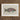 Framed Botanical Illustration Colorful Parrotfish Iridescent Green Pink Luigi Balugani, Kaleidoscopic Queen, Balugani’s 18th-century Brush