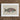 Framed Illustration Colorful Parrotfish Iridescent Pink Green Blue Luigi Balugani, Kaleidoscopic Queen, Balugani’s 18th-century Brush