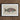 Framed Illustration Colorful Parrotfish Iridescent Purple Green Blue Luigi Balugani, Kaleidoscopic Queen, Balugani’s 18th-century Brush