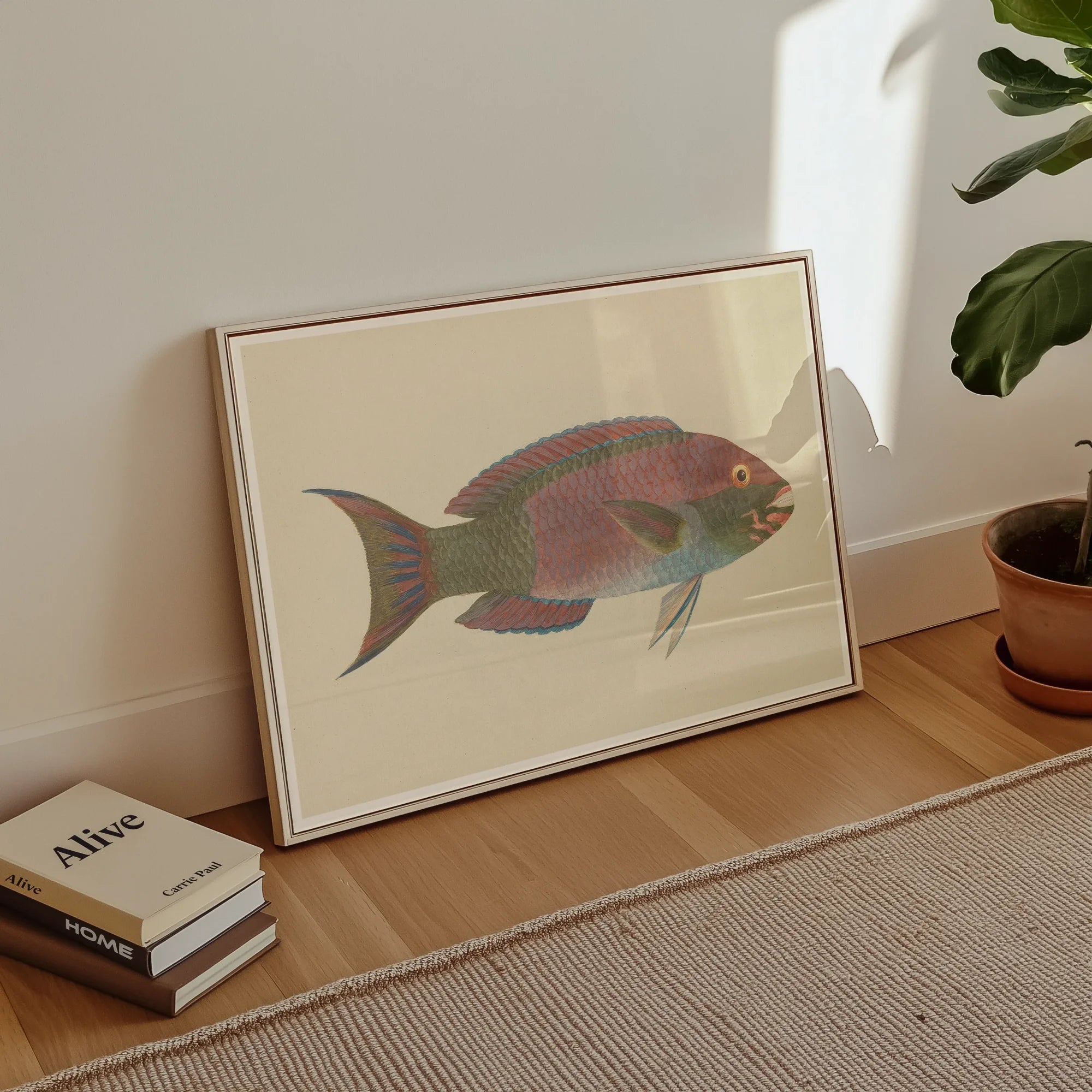 Queen Parrotfish - Luigi Balugani Sea Life Art Print, Framed Artwork Reddish-pink Tropical Fish Blue Accents
