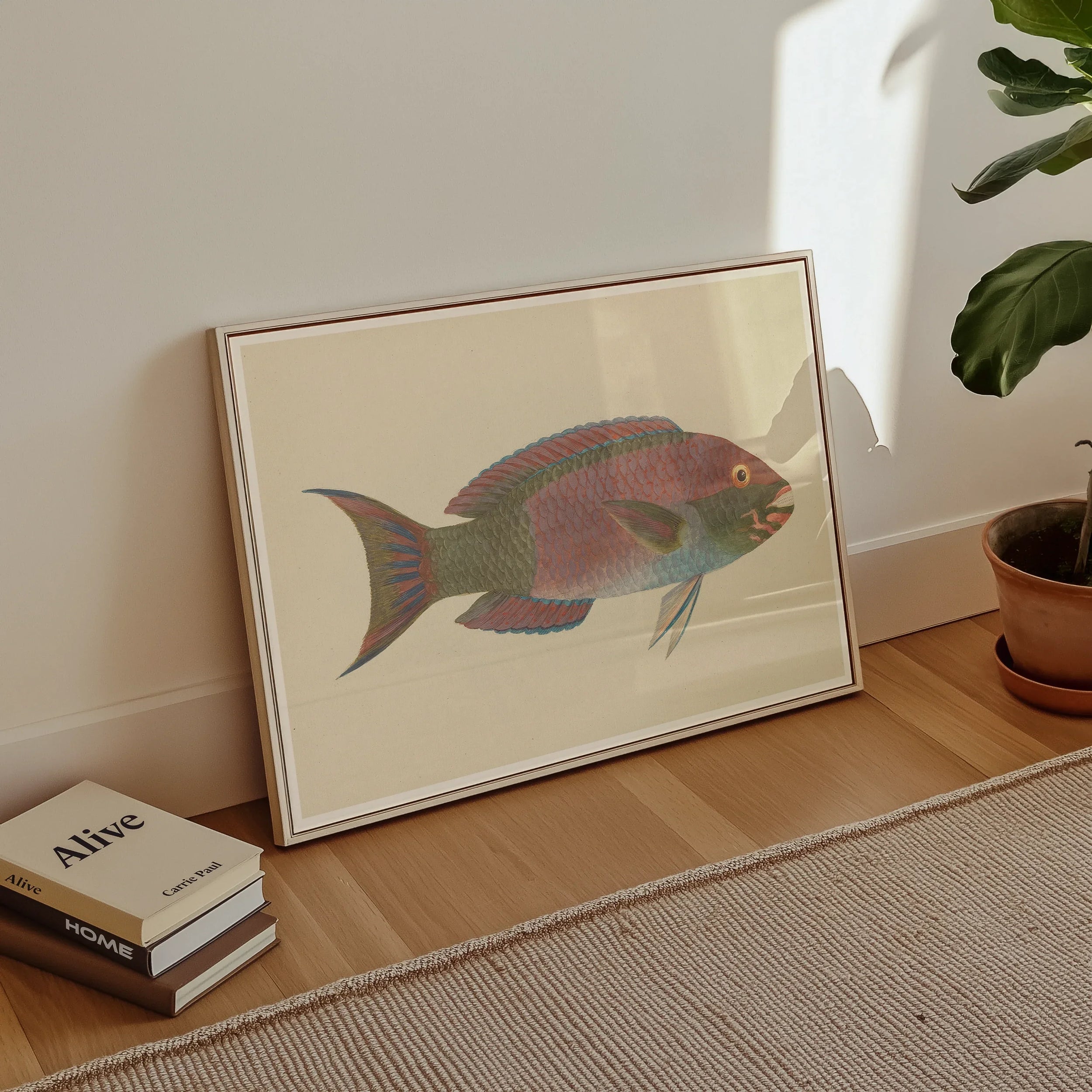 Queen Parrotfish - Luigi Balugani Sea Life Art Print