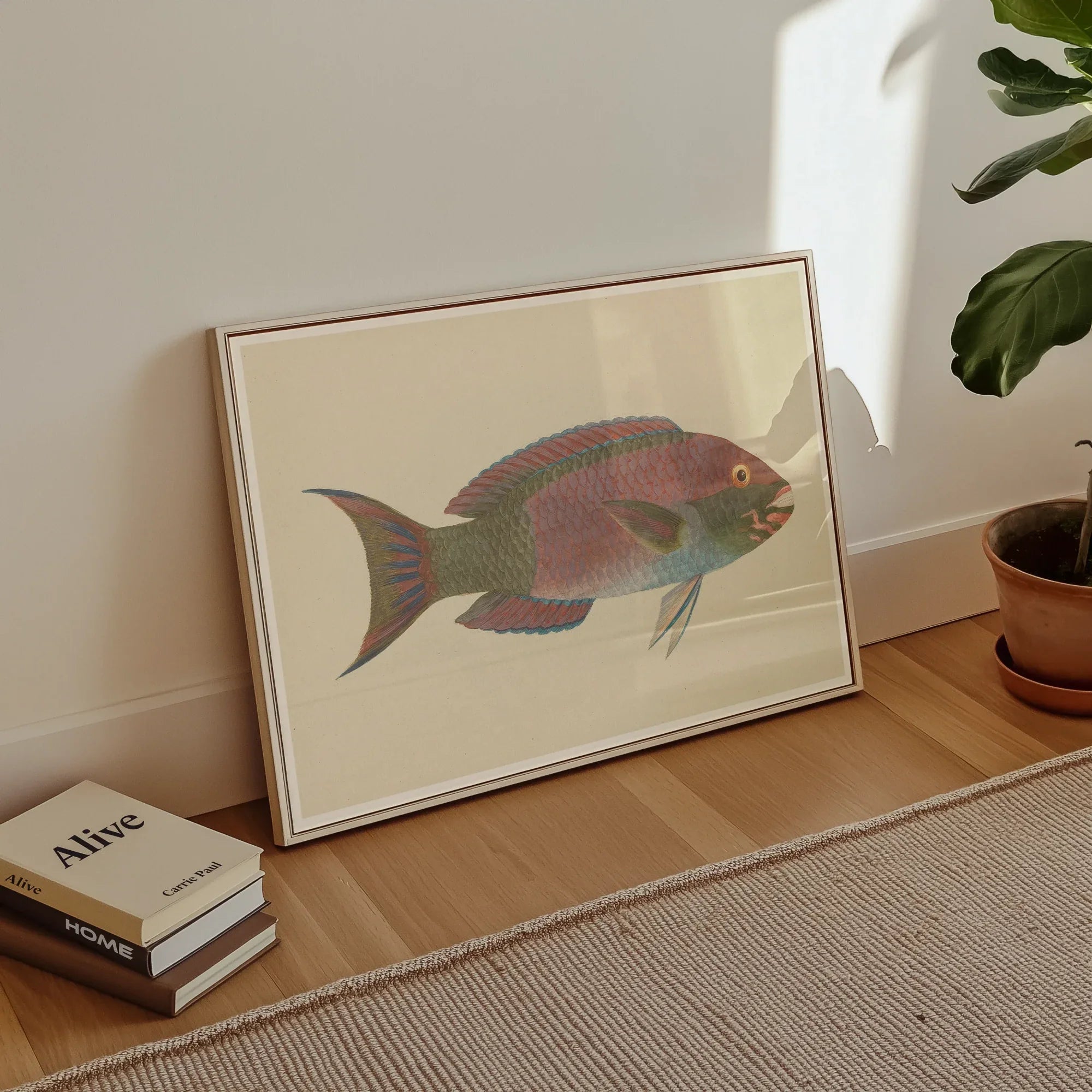 Queen Parrotfish - Luigi Balugani Sea Life Art Print Posters Prints & Visual Artwork