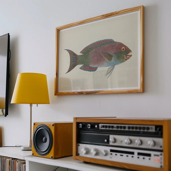 Queen Parrotfish - Luigi Balugani Sea Life Art Print, Framed Illustration Pink Green Tropical Fish