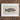 Queen Parrotfish - Luigi Balugani Sea Life Art Print, White-framed Artwork Colorful Tropical Fish Green Pink Scales