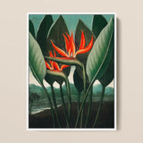 Queen Plant - Robert John Thornton Floral Art Print / Canvas, 12x16’’ / 31x41cm / White Frame, Posters Prints & Visual Artwork, Toby Leon