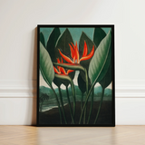 Queen Plant - Robert John Thornton Floral Art Print / Canvas Framed Artwork Vibrant Orange Bird-of-paradise Flower Surrounded Dark, Plant’s