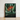 Framed Artwork Vibrant Orange Bird-of-paradise Flower Surrounded Dark Robert John Thornton, Queen Plant’s Regal Presence, Floral