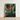 Framed Artwork Vibrant Orange Bird-of-paradise Flower Surrounded Lush Robert John Thornton, Queen Plant’s Regal Presence, Floral
