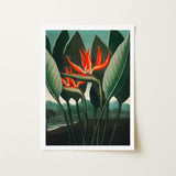 Queen Plant - Robert John Thornton Floral Art Print / Canvas Framed Vibrant Orange Bird-of-paradise Flower Surrounded Lush, Plant’s Regal