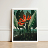 Queen Plant - Robert John Thornton Floral Art Print / Canvas Framed Artwork Vibrant Orange Bird-of-paradise Flower Surrounded Dark, Plant’s