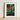 Framed Artwork Vibrant Orange Bird-of-paradise Flowers Lush Green Robert John Thornton, Queen Plant’s Regal Presence, Floral