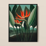 Queen Plant - Robert John Thornton Floral Art Print / Canvas Framed Artwork Vibrant Orange Black Bird-of-paradise Flowers Surrounded Robert