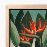 Queen Plant - Robert John Thornton Floral Art Print / Canvas Framed Vibrant Orange Black Bird Paradise, Plant’s Regal Presence, Prints