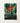 Vibrant Orange Bird-of-paradise Flower Painting Lush Green Leaves Robert John Thornton, Queen Plant’s Regal Presence, Floral