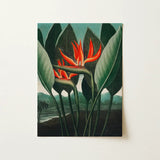 Queen Plant - Robert John Thornton Floral Art Print / Canvas Vibrant Orange Bird-of-paradise Flower Painting Lush Green Leaves Robert John