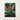 Vibrant Orange Bird-of-paradise Flower Painting Lush Green Leaves Robert John Thornton, Queen Plant’s Regal Presence, Floral
